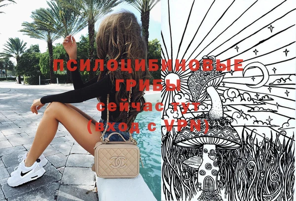 меф Богородицк