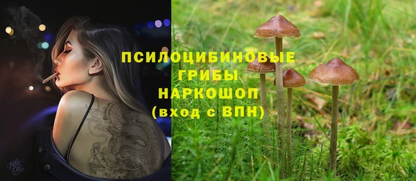 мескалин Богородск