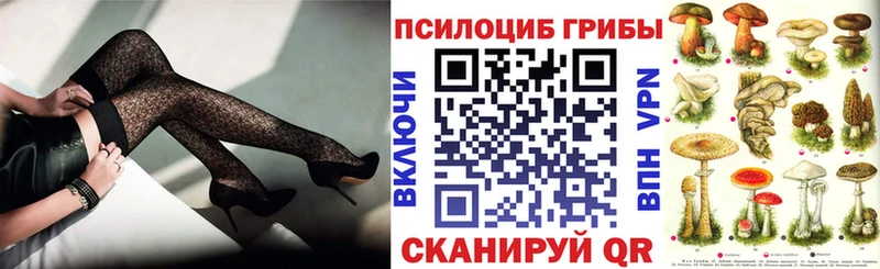 blacksprut ссылки  Мытищи  Псилоцибиновые грибы прущие грибы 